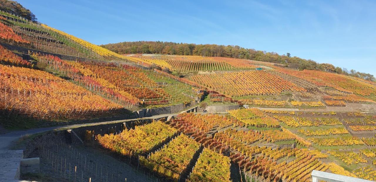 Hochgewaechs * Bad Neuenahr-Ahrweiler